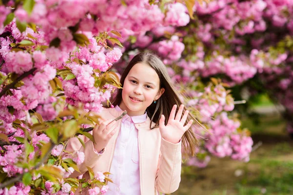 Delikatny rozkwit. Dziecko na różowe kwiaty z drzewa Sakura tle. Dziewczyna korzystających kwiat wiśni lub Sakura. Cute dziecko cieszyć ciepły dzień wiosny. Koncepcja kwitnienia aromatycznego. Dziewczyna turystyczny stwarzające w pobliżu Sakura — Zdjęcie stockowe