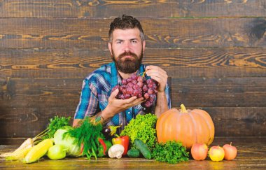 Tarım ve kavram hasat. Sakallı adam üzüm ahşap arka plan tutar. Çiftçi masada homegrown hasat ile. Sebze organik hasat. Çiftçi hasat sebzeler ve üzüm gurur