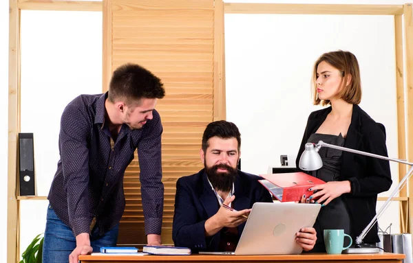 Office collective concept. Coworkers communicate solving business tasks. Working together. Working process. Business meeting. Female small minority. Woman attractive lady working with men colleagues