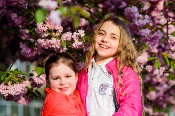 El rosa es nuestro favorito. Flores suave flor tierna. Los niños disfrutan del jardín. Jardín Sakura. Las hermanas caminan por los árboles de sakura del parque. Niños flores rosadas de fondo de árbol de sakura. Niños disfrutando de la flor de cerezo — Foto de Stock