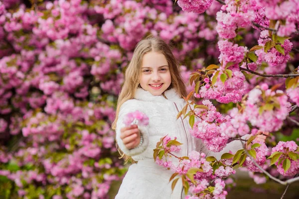 Dziecko cieszy się życiem bez alergii. Wąchanie kwiatów. Dziewczyna lubi kwiatowy aromat. Koncepcja alergii na pyłki. Dzieciak lubi wiśniowe sakura. Dzieciak na różowe kwiaty sakura tle drzewa. Leczenie alergiczne — Zdjęcie stockowe