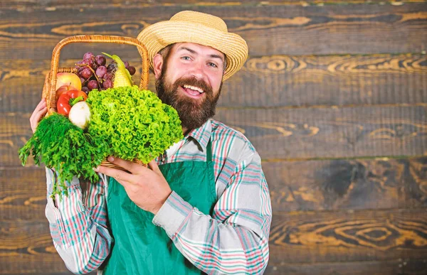 Mezőgazdasági szalma kalap szállít friss zöldség. Mezőgazdasági homegrown zöldség kosárban. Az ember szakállas mezőgazdasági bemutató eco zöldség fa háttér. Fonott kosár-friss bio zöldség — Stock Fotó