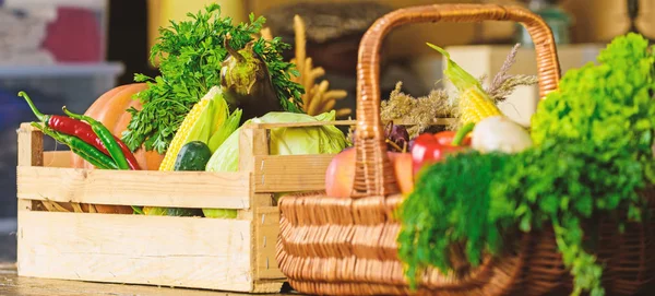 Autumn harvest organic crops pumpkin corn vegetables. Homegrown vegetables. Fresh organic vegetables in wicker basket and wooden box. Fall harvest concept. Vegetables from garden or farm close up