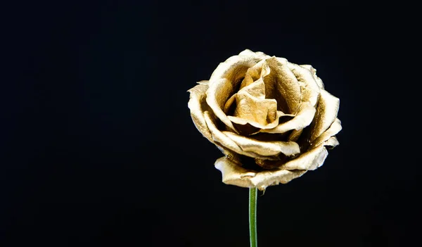 Conceito de botânica. Lindas flores de prata. Loja de flores. Aço metálico ou cor dourada. Flores de metal. Beleza eterna. Moda e beleza. As flores cobriram a pintura metálica de perto. Bouquet elegante — Fotografia de Stock