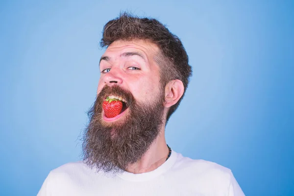 Hipster happy face enjoy juicy ripe red strawberry. Man handsome hipster with long beard eating strawberry. Berry in mouth of bearded hipster. Freshness comes in red. Strawberry sweet taste concept