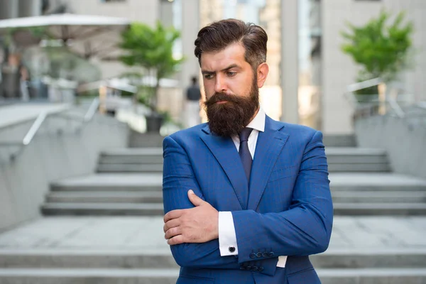 Feel confident. Business life. Man stylish businessman. Successful and motivated for success. Business man bearded wear fashionable suit. Businessman well groomed hairstyle beard. Business concept