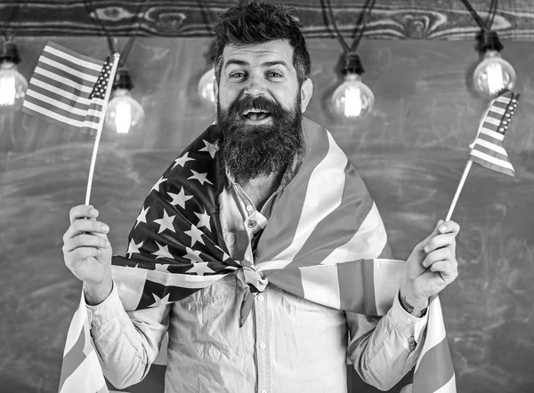 American teacher waves with american flags. Man with beard and mustache on happy face holds flags of USA, in classroom, chalkboard on background. Student exchange program. Patriotic education concept