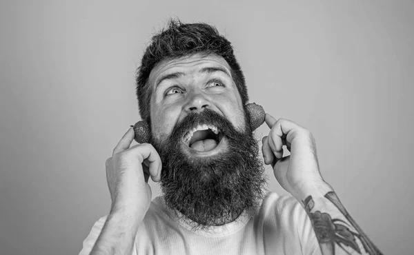 Concept de succès d'été. Homme barbu hipster oreilles de fraise mûres rouges comme écouteurs. Guy profiter du son juteux de la musique de la chanson d'été. Barbe hipster écouter de la musique écouteurs fraise. Haut graphique radio d'été — Photo