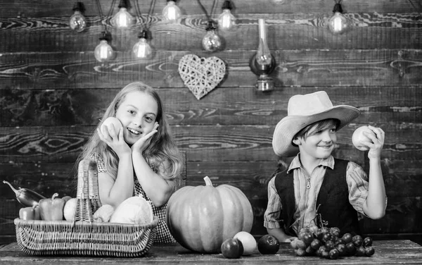 Festeggia la festa del raccolto. Bambini che presentano raccolta sfondo di legno vegetale. Ragazza ragazzo verdure fresche raccolto in stile rustico. Vacanze del raccolto autunno. Scuola elementare autunno festival idea — Foto Stock