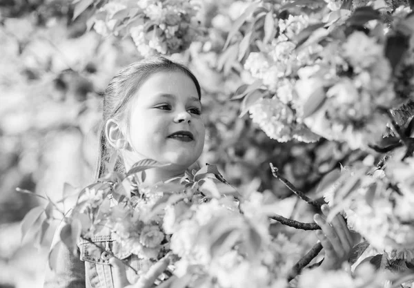 Šťastná dívka v třešňově květině. Kvetoucí strom Sakura. malá holčička v jarním květu. na potřebou. Přírodní kosmetika pro kůži. vůně, alergie. letní prázdniny. Dětská krása. Jsem svobodný — Stock fotografie