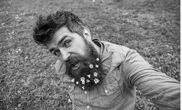 Hipster on cheerful face sits on grass, defocused. Man with beard enjoys spring, green meadow background. Natural beauty concept. Guy with lesser celandine flowers in beard taking selfie photo — Stock Photo, Image