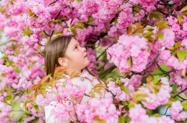 Wąchania kwiatów. Pozbyć się alergii sezonowej. Dziewczyna ciesząc się kwiatowym aromatem. Koncepcja alergii pyłku. Dziecko na różowe kwiaty Sakura drzewo tło. Lekarstwo na alergie. Dziecko cieszyć się życiem bez alergii — Zdjęcie stockowe