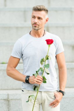 Romantik bir beyefendi. Romantik hediye ile adam olgun maço. Küçük romantizm aşk hayatınızı geliştirebilir. Gül çiçeği romantik tarih ile yakışıklı adam. Sevgililer günü ve yıldönümü. Çiçek teslimatı