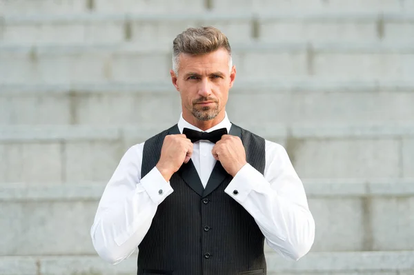 Perfect bow tie. Gentleman modern style. Guy well groomed handsome bearded gentleman macho wear shirt and vest. Barber shop for groom. Confidence in his glance. Restaurant waiter. Elegant gentleman — Stock Photo, Image