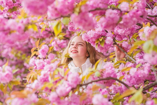 Perdu en fleurs. Concept botanique. Touriste fille posant près de sakura. Enfant sur des fleurs roses de fond de sakura. Fille appréciant la fleur de cerisier sakura. Enfant mignon profiter de la chaude journée de printemps. Floraison tendre — Photo