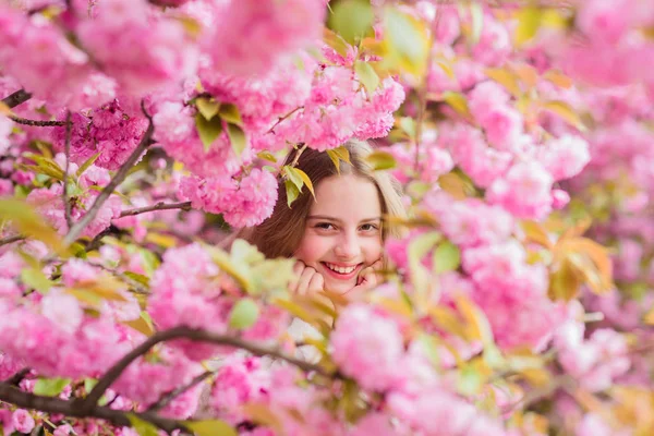Perdu en fleurs. Fille appréciant la fleur de cerisier sakura. Enfant mignon profiter de la chaude journée de printemps. Tendre floraison. Touriste fille posant près de sakura. Enfant sur des fleurs roses de fond de sakura. Concept botanique — Photo