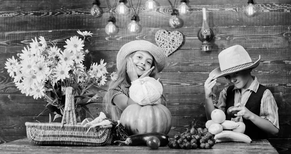 Dzieci dziewczyna chłopiec nosić kapelusz świętować żniwa w stylu rustykalnym. Świętujcie jesienne tradycje. Pomysł na jesienny festiwal. Jesienny festiwal zbiorów. Dzieci grać warzywa kapusta dyniowa — Zdjęcie stockowe