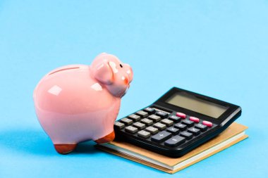 hesap makinesi ile moneybox. Kumbara. para tasarrufu. Muhasebe ve bordro. Muhasbe. mali rapor. sermaye yönetimi. planlama bütçe sayma. Commerece işi. Yüz.