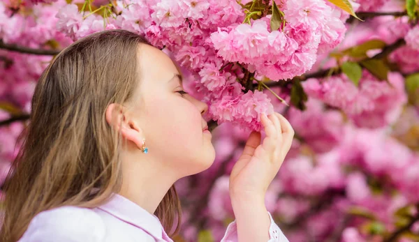 Tavaszi botanikában. Így a tavaszi szagokat. Pályázat virágzik. Kislány élvezi tavasszal. Kid on rózsaszín virágai Sakura fa háttér. Gyerek élvezi cseresznyevirág Sakura. Boldog Tavaszi szünidő — Stock Fotó