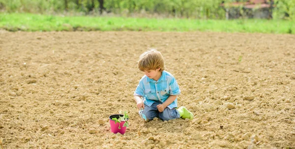 Tiempo divertido en la granja. Concepto de jardinería. Niño divirtiéndose con pala pequeña y planta en maceta. Plantando plántulas. Plantando en el campo. Pequeño ayudante en el jardín. Niño sentarse en el suelo plantando flor en el campo —  Fotos de Stock