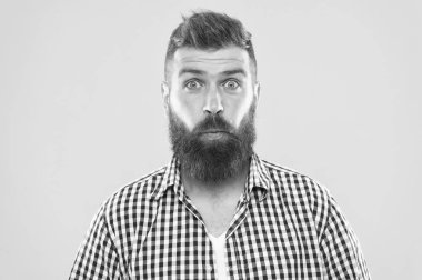 Kahkaha patladı. Sakal ve bıyık duygusal sürpriz ifade ile hippi. Rustik sürpriz maço. Adam sarı arka plan yakın çekim hipster merak yüz sakallı. Adam yüz ifadesi şaşırttı