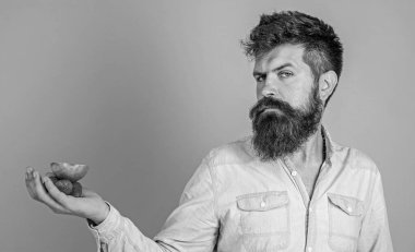 Sakallı adam katı yüz organik davranır sunmaktadır. Muamele etmek var. Sakallı hippi çilek ve elma avuç içinde tutar. Adam çilek denemek teklifler ve elma meyve mavi arka plan davranır