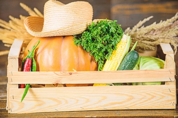 Scatola o cestino raccolta verdure fondo in legno. Verdure di ottima qualità. Solo dal giardino. Concetto di negozio di alimentari. Servizio di consegna verdure fresche da fattoria. Acquista verdure fresche fatte in casa — Foto Stock