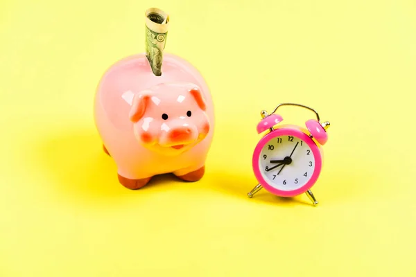 do not miss your chance. success in finance commerce. time is money. Economy budget increase. business startup. financial position. retirement. family budget. piggy bank with alarm clock. us dollar