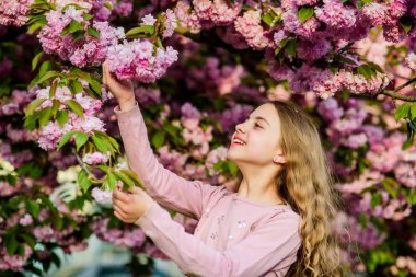 Kız kiraz çiçek arka plan. Mutlu bahar tatilleri. Park ve bahçe. Bahar çiçek açan kız küçük çocuk. Güneşli bir gün için ihale çiçek kokusu keyfini çıkarın. Sakura çiçek konsepti. Muhteşem çiçek güzelliği