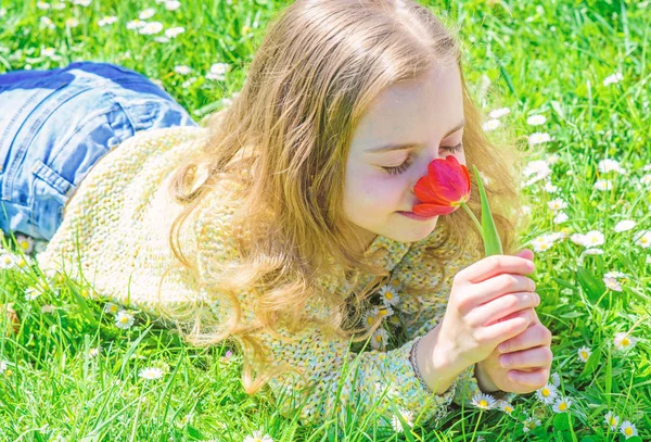 子供は、草原に横たわっている間チューリップの香りをお楽しみください。アレルギーの概念。幸せそうな顔の女の子は、日当たりの良い春の日の赤いチューリップの花を保持します。草地、草背景に横になっている長い髪の少女 — ストック写真