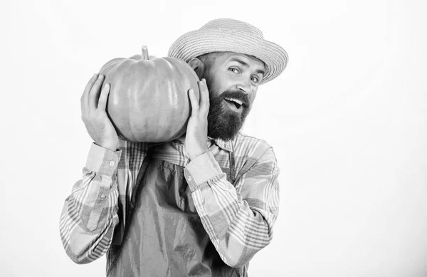 Disfrutando de un nuevo gran día. vitamina estacional. comida orgánica. Feliz Halloween. producto saludable. Un hombre con calabaza. hombre barbudo granjero mantenga gran calabaza. Festival de la cosecha. verduras útiles. rica cosecha de otoño —  Fotos de Stock