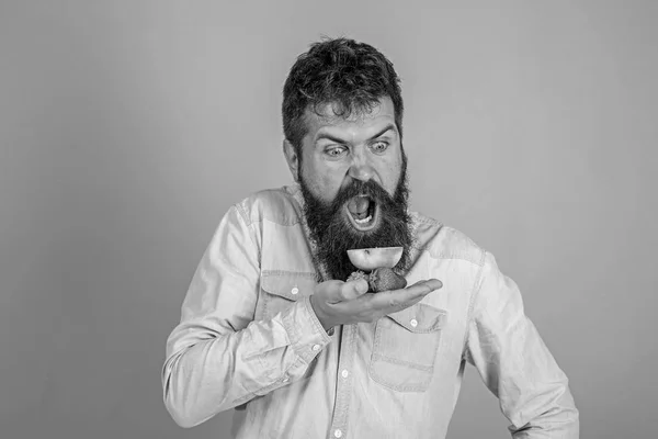 Tudo por mim. Homem gritando rosto faminto com barba come guloseimas orgânicas. Hipster barbudo detém morangos e maçã na palma da mão. Homem com fome come morangos e maçã fruta trata fundo azul — Fotografia de Stock