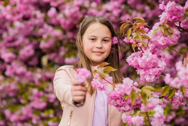 Kid cieszyć Cherry Blossom Sakura. Dziecko na różowe kwiaty Sakura drzewo tło. Lekarstwo na alergie. Dziecko cieszyć się życiem bez alergii. Wąchania kwiatów. Dziewczyna ciesząc się kwiatowym aromatem. Koncepcja alergii na pyłki — Zdjęcie stockowe