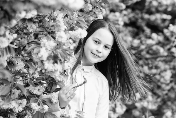Koncept aromatického květu. Dívčí turistická póza v blízkosti sakury. Rozkvetlé něžnost. Dítě na růžových květinách sakurského stromu. Dívka požívající třešňový květ nebo Sakura. Milé dítě si vychutnejte Teplý jarní den — Stock fotografie