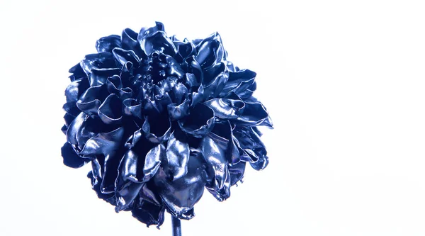 Floristics iş. Vintage. zenginlik ve zenginlik. doğal retro güzellik. lüks ve başarı. metalı antikdekorasyon. mavi metalik krizantem çiçeği. güzellik ve moda — Stok fotoğraf
