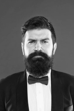 Adam sakallı hippi giyim Klasik takım elbise. Şık tarzı. Takım çok iyi bak. Şıklığı ve erkek tarzı. Kırmızı zemin üzerine şık kıyafet işadamı veya ana bilgisayar. Moda kavramı. Resmi kıyafet