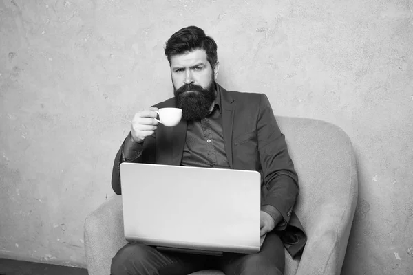 Multitasking business. Modern businessman. Bearded man. Mature hipster has beard. Businessman work on laptop. Man. man drink coffee in business office. Responding on business email. digital marketing