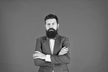 Moda veya hiç de yapmak. Kendine güvenen iş adamı. İş avukat. Sakallı adam resmi elbiseli. Sakallı adam avukat ceketli. İş başarı. Avukat. Erkek moda bakmak. Avukat ofis