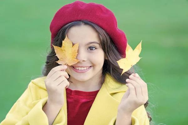 Bambino con foglie d'acero autunnali a piedi. L'intimità autunnale è qui vicino. Bambina entusiasta della stagione autunnale. Consigli per trasformare l'autunno nella stagione migliore. Ragazza ragazza sorridente faccia tenere foglie di acero — Foto Stock