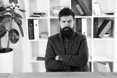 İşle ilgili. Modern iş adamı. Kendine güvenen acımasız bir adam. Resmi takım elbiseli bir iş adamı. Ciddi adam sorunu çözer. İş yerinde erkek modası. Sakallı adam. Sakallı hippi. Uzman yardımına ihtiyacım var