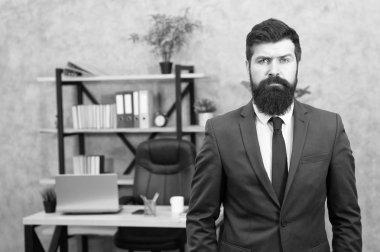 Yönetici adam. Erkek moda iş ofiste. Sakallı adam. Olgun hippi sakallı. Takım elbiseli bir iş adamı. Executive Toplantı. İş. Modern iş adamı. Kendine güvenen acımasız adam. ofisler