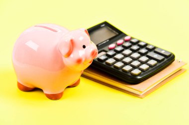 Muhasbe. mali rapor. para tasarrufu. Muhasebe ve bordro. hesap makinesi ile moneybox. Kumbara. sermaye yönetimi. planlama bütçe sayma. Commerece işi. Servet