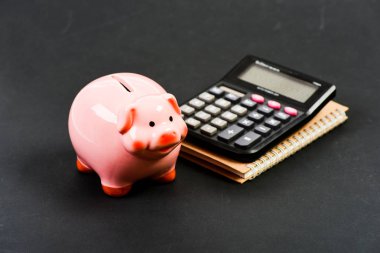 planlama bütçe sayma. Commerece işi. sermaye yönetimi. para tasarrufu. Muhasebe ve bordro. hesap makinesi ile moneybox. Kumbara. Muhasbe. mali rapor. Aldatılmak