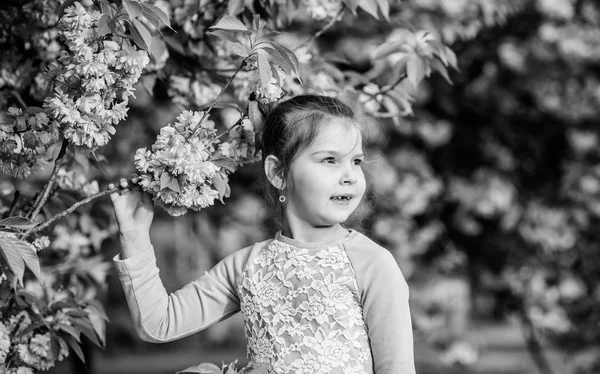 Vůně, alergie. malé holčičce v jarní květině kvete. šťastná dívka v třešňově květině. Kvetoucí strom Sakura. na potřebou. Přírodní kosmetika pro kůži. Letní. Navždy mladá a svobodná — Stock fotografie