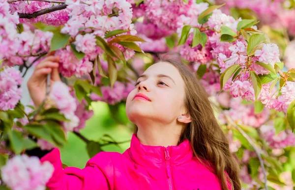 Natural cosmetics for skin. Small girl child in spring flower bloom. Enjoy smell of tender bloom. Sakura flower concept. Gorgeous flower and female beauty. Girl in cherry flower. Sakura tree blooming