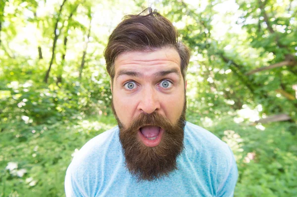 Go wild. Crazy bearded man in natural environment. Hipster with long beard emotional face close up nature background. Hair care male beauty. Summer fun. Bearded guy in park forest. Bearded hipster