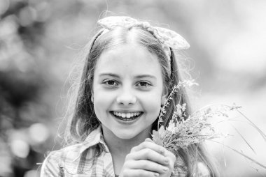 kır çiçekleri. Bahar tatili. Kadınlar günü. Doğal güzellik. Çocukluk mutluluğu. mutlu çocuk kır çiçekleri tutun. Yaz. Yeşil çevre. küçük kız ve çiçek buketi. Her mevsim güzel kalmak