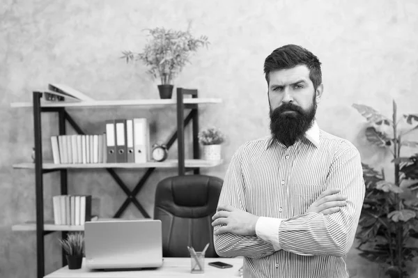 Confident bearded man in office. Confident businessman. Office life. Serious bearded man at workplace. Confident manager. Confident ceo. Confidence and success. Ceo office. Business professionals