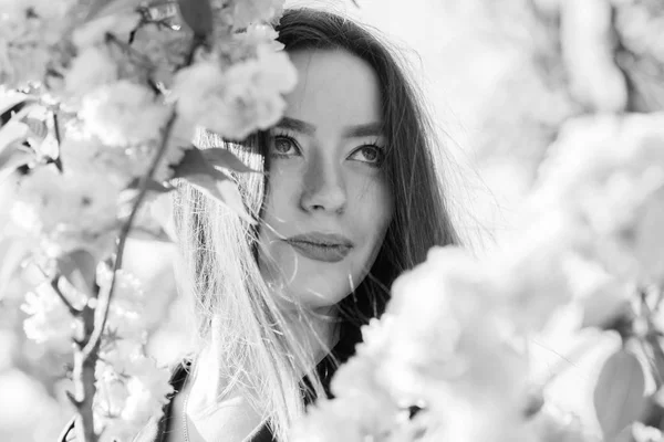 woman in spring flower bloom. girl in cherry flower. Sakura tree blooming. natural summer beauty. skincare and spa. Natural cosmetics for skin. blossom smell, allergy. Spring everywhere