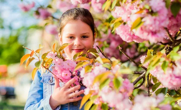 Blossom lukt, allergi. liten flicka i vårblomma Bloom. sommarlov. Barndoms skönhet. Hudvård. Naturkosmetik för huden. lycklig tjej i körsbärsblomma. Sakura träd blommar. Fantastiska sommar — Stockfoto